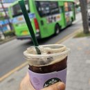 케이스크린 Daum카페