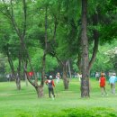 종합운동장(골프장) 이미지