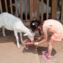 주경목장 이미지