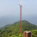 교촌천 Daum카페