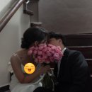플레타플레르