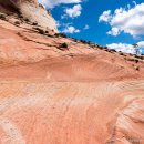 고대1117 이미지