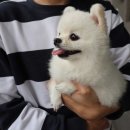 올치동물병원 이미지