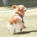 꾸꾸 - 계양구 계양대로205번길 1 | 꾸꾸