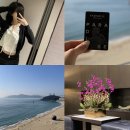 부산뷰호텔 | 파라다이스 호텔 부산 오션뷰 해운대 호텔 솔직 후기