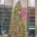 대구 콘서트 하우스 | 무료 클래식공연 이건음악회 대구 노르웨이 체임버 오케스트라 현악 6중주 후기, in 대구콘서트하우스