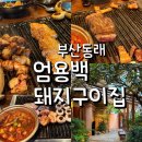 돼지집딸동래점 | 부산 동래 고기 맛집 추천 엄용백돼지구이집 동래점 주차 회식 후기