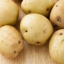 대화키즈태권도 이미지