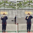 하만호길 이미지