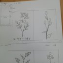 들꽃자수 이미지