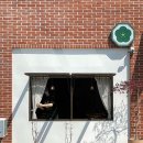 경기도 수원시 팔달구 신풍로23번길 이미지