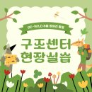 와일드 콘텐츠