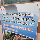 싱싱해물탕 이미지