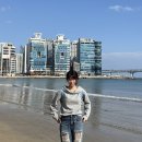 타이거컴퍼니 | 3월 봄 데일리룩 모음