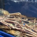 동일상회 이미지