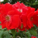 노적봉공원 이미지