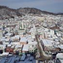 예천군체육사업소 이미지