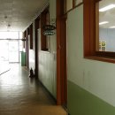 영월초등학교 이미지