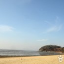 볼음도저어새생태마을 이미지