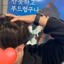 열날개 이미지