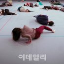 국립현대무용단 이데일리