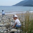 재미들민박