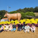 미래지 공원 이미지