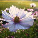 주남마을길 이미지