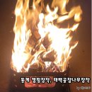 동계 캠핑장작, 불멍용 태백골참나무장작