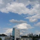 인천교자동차매매단지 이미지