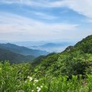 비슬산자연휴양림 | 비슬산 최단코스 비슬산 자연휴양림 - 대견사 등산코스 추천(전기차 이용 꿀팁)
