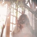 온실슈퍼