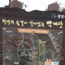 광양시 옥룡면 백계산505m-2024. 2/18. 이미지