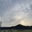 맹방유채꽃마을 이미지