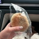 부산제과 | 부산 전포 빵집 추천 ‘희와제과’ 일요일 웨이팅, 빵 보관방법 후기