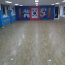 용인대타이곤 태권도 체육관 이미지