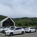 파주 데이지카페 필무드 솔직후기 플라워카페 파주 나들이카페