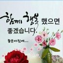 100세의료기 이미지