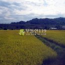 동남농장2 이미지