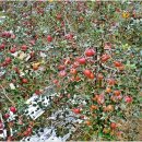 얼음골로 이미지