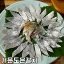 광주 거문도은갈치 갈치정식 무등시장맛집 내돈내산 후기