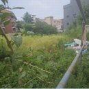 상업용 58 이미지