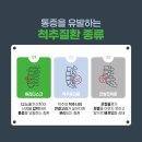 본죽 전주효자서부시장점 | 순천척추병원, 허리·목 통증으로 힘든 일상 끝낼 수 있을까?