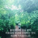 제주기독교순례길 4코스 화해의 길 | 제주도 순례길 아주 색다른 제주도여행
