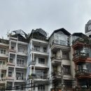 죽림농장 | 베트남 달랏 여행 로빈힐 다딴라폭포 죽림사원 딸기농장 클룩 일일 패키지 투어 (1)