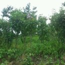 봉우리농장 이미지