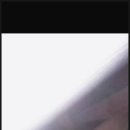 방역해충닥터버그119
