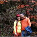 지석초교 이미지