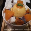 퍼블릭코코 이미지