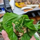 부산 용호동 오리고기 맛집, 임형섭 생 오리 전문점!